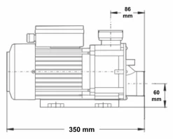 LX TDA100 Spa Circulatiepomp 1 PK 18 LX TDA100 Spa Circulatiepomp 1 PK -Zwembadapparatuur Winkel 3769.2