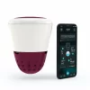 Ondilo ICO Smart Spa Tester 1 Ondilo ICO Smart Spa Tester -Zwembadapparatuur Winkel 61nubprlkzs